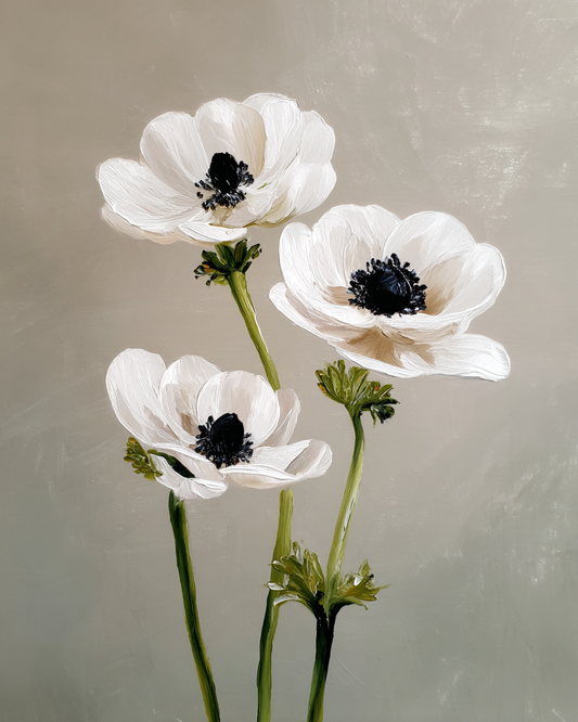 Paint by Numbers – White Anemones