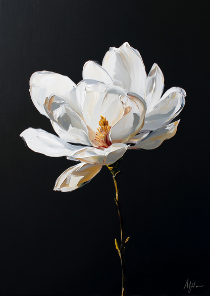 Paint by numbers – Magnolia blossom