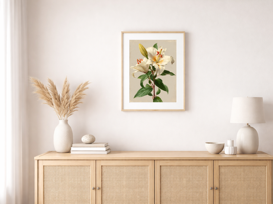 Paint by Numbers Set “White Lily” – Without Frame cm – 36 Colors