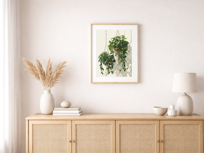 Paint by Numbers Set “Hanging Ivy &amp; Philodendron” – Unframed cm – 36 Colors